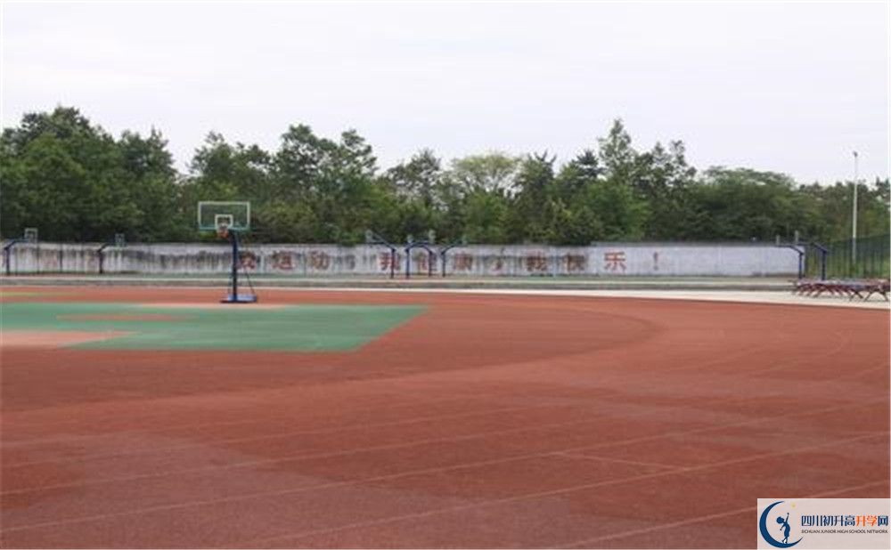 2020樹德懷遠(yuǎn)中學(xué)平行班升學(xué)率高嗎？