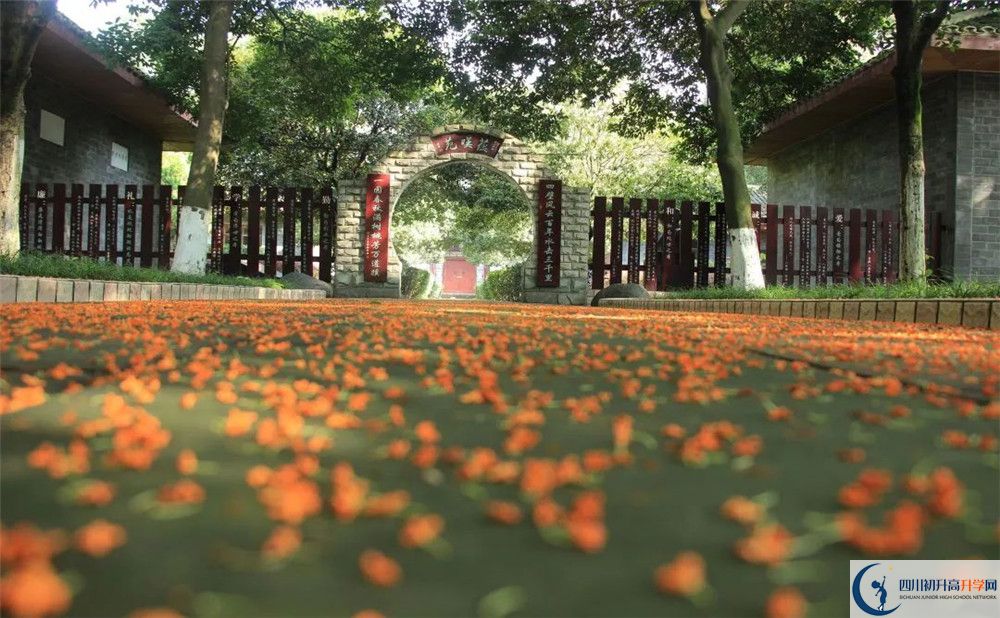 成都七中高新校區(qū)平行班中考重點(diǎn)率是多少？