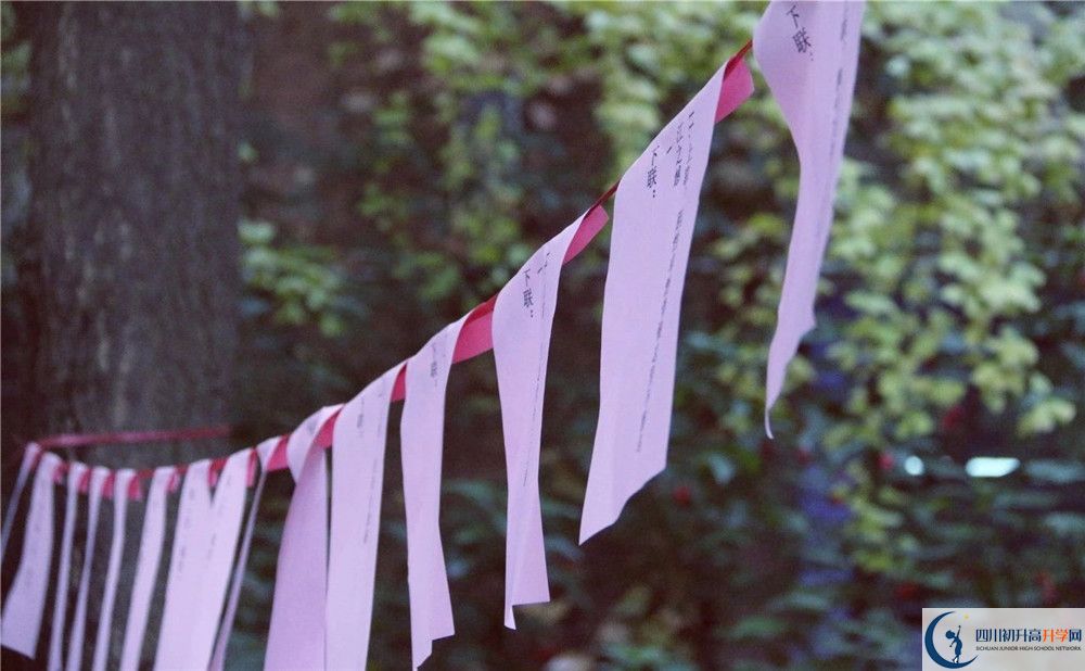 成都實(shí)驗(yàn)外國(guó)語(yǔ)學(xué)校（西區(qū)）平行班中考重點(diǎn)率是多少？