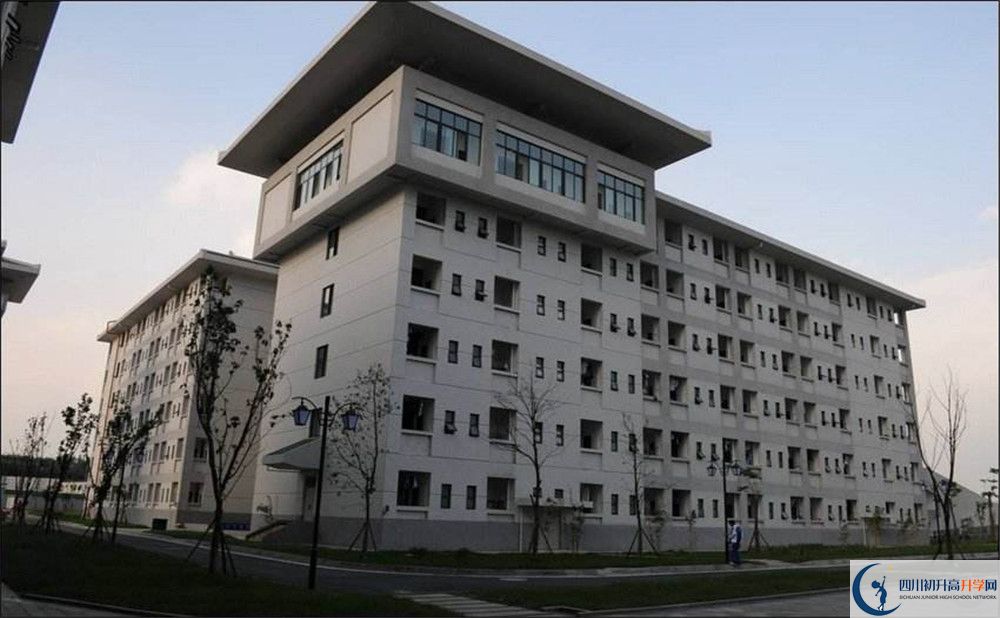 成都石室中學(xué)北湖校區(qū)的國(guó)際班怎么樣？