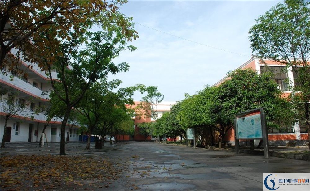 大邑中學(xué)平行班中考重點(diǎn)率是多少？