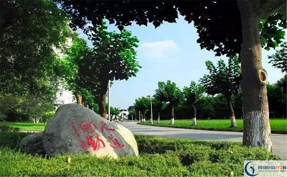 成都樹(shù)德中學(xué)補(bǔ)課嗎？