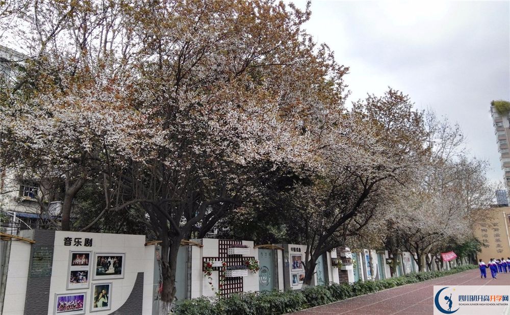 2020年成都大學附屬中學軍訓時間安排在哪看？