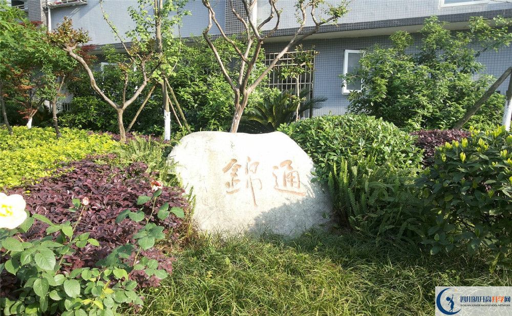 通錦中學(xué)2020年開學(xué)時間安排是怎樣的？
