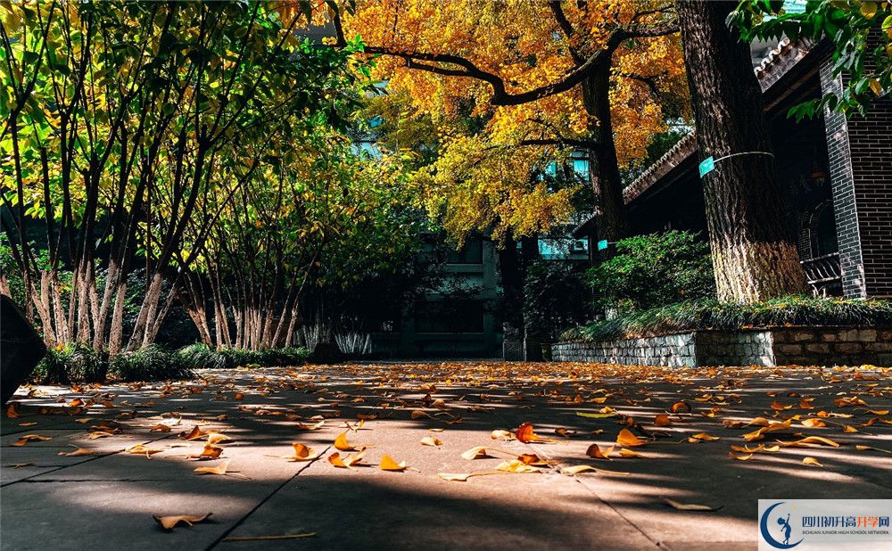 北京師范大學成都實驗中學初升高招生政策是什么？