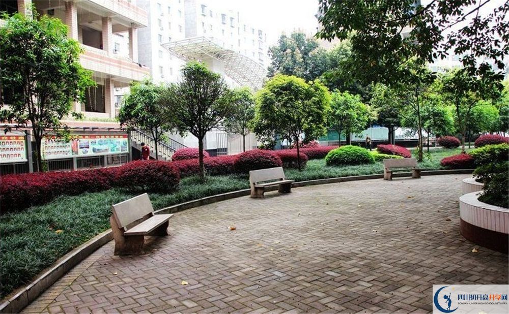 渠縣第二中學(xué)高三診斷考試時間怎么安排？