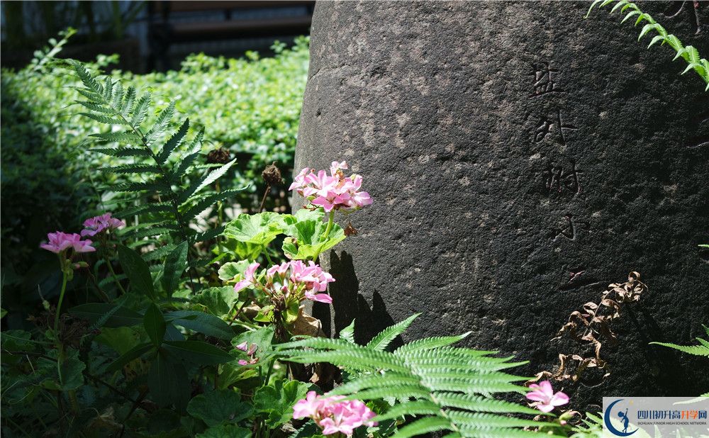 成都經(jīng)濟(jì)技術(shù)開(kāi)發(fā)區(qū)實(shí)驗(yàn)中學(xué)2020年中考收分線是多少？