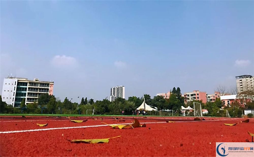 青苗國際雙語學(xué)校成都校區(qū)2020年師資怎么樣？