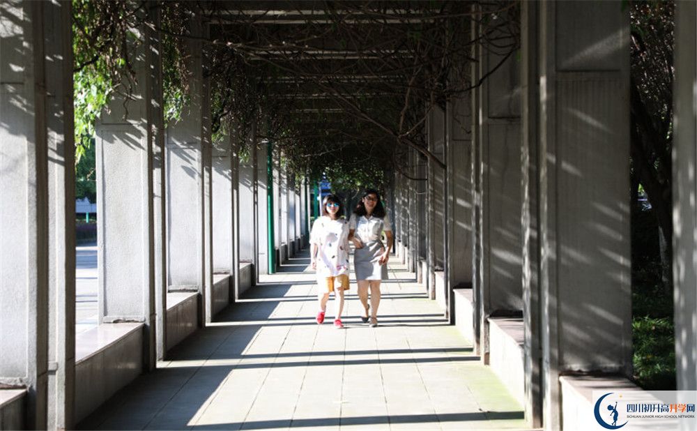 成都市龍泉中學2020年升學率高不高？