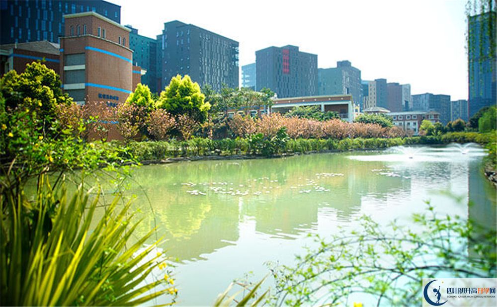 成都美視國際2020年怎么報名？