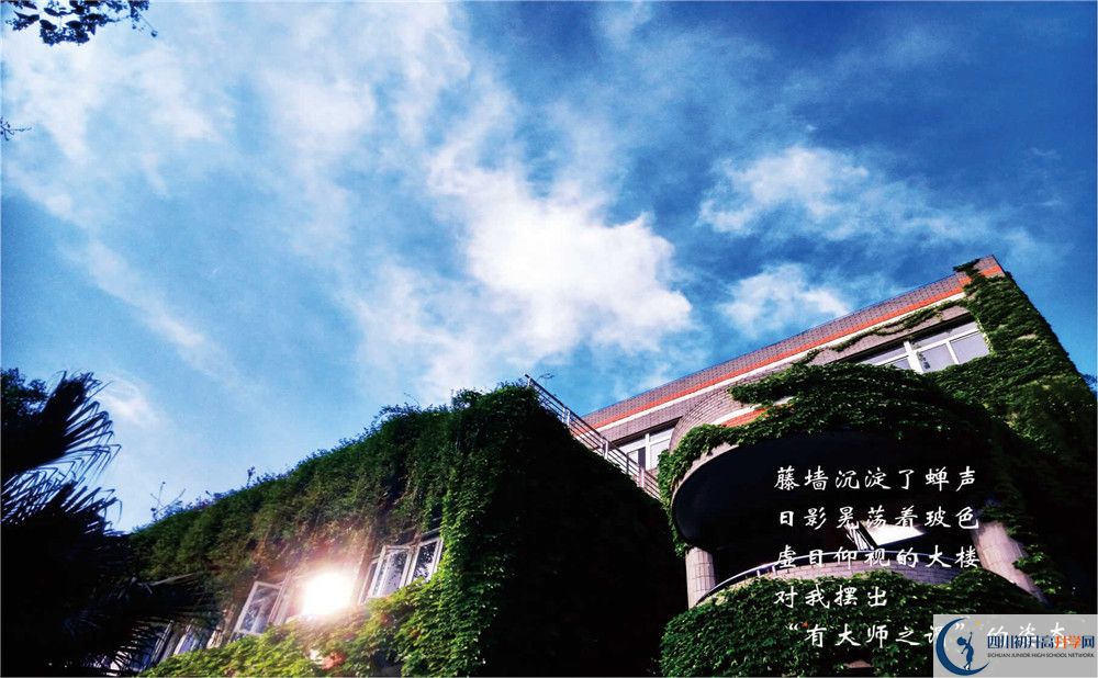 成都七中高新校區(qū)招生辦電話是多少？
