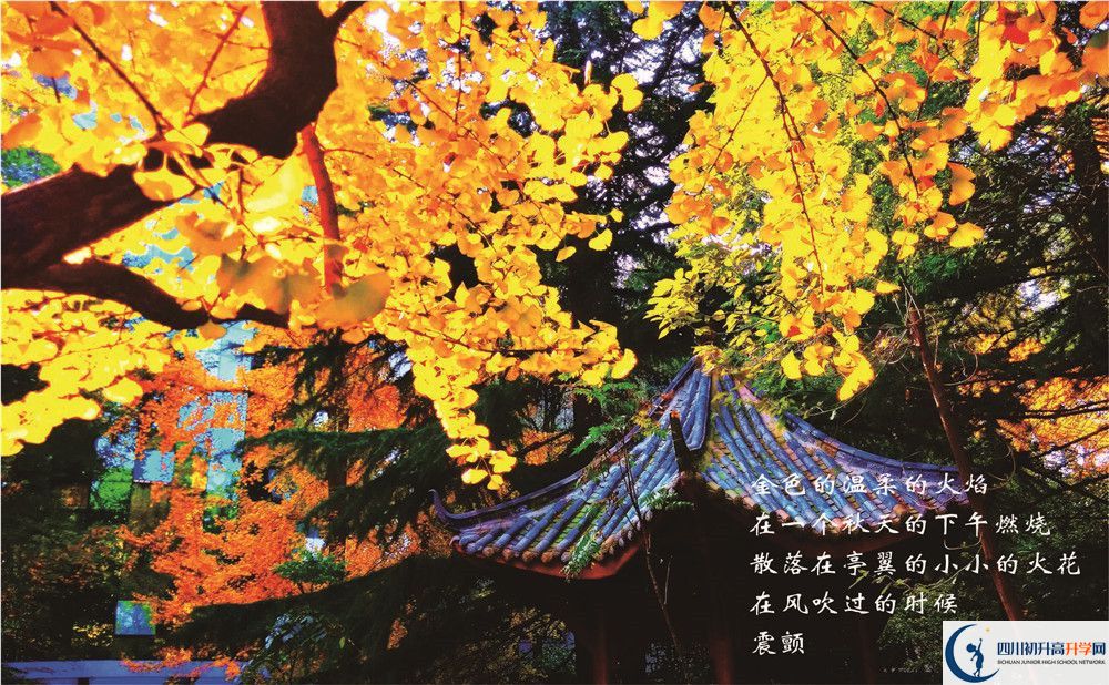 七中高新校區(qū)招生電話是多少？