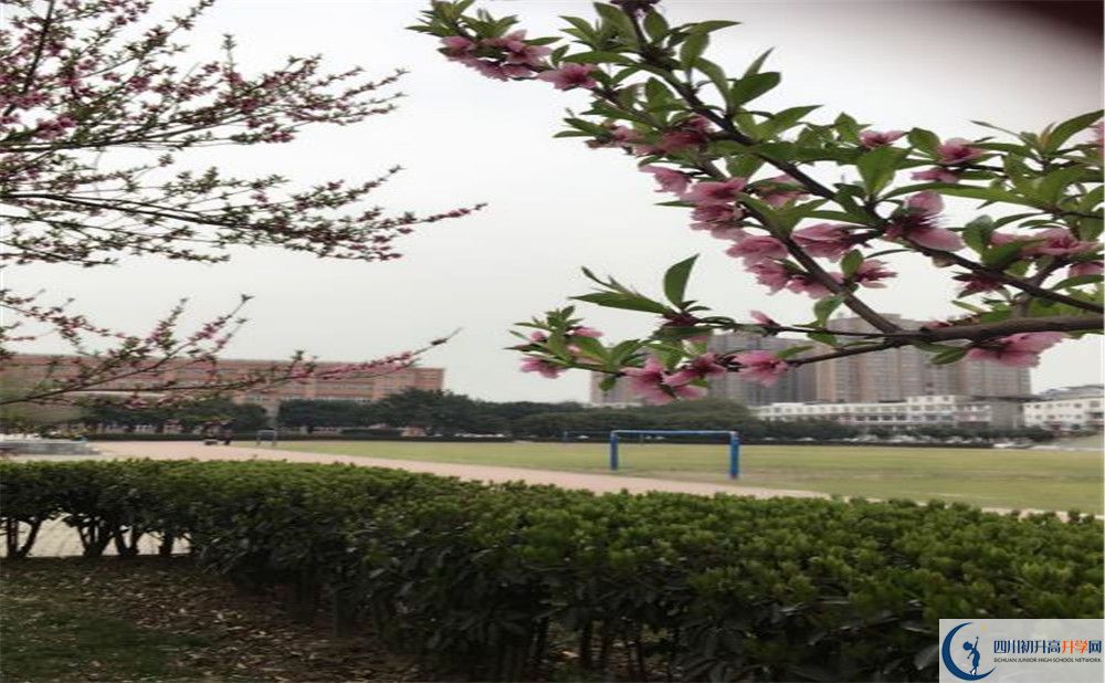 2020年樹德博瑞實驗學校怎么樣？