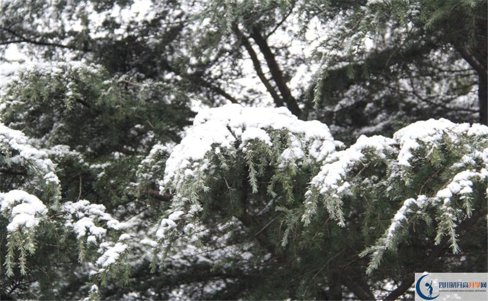 樹德博瑞實(shí)驗(yàn)學(xué)校電話號碼是多少？