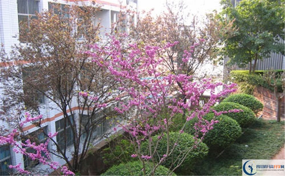 簡(jiǎn)陽(yáng)三星中學(xué)2020年分?jǐn)?shù)線是多少分？