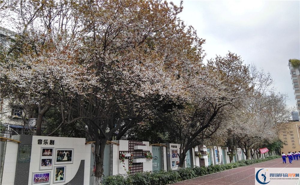成都大學(xué)附屬中學(xué)2020年高考成績(jī)好不好？