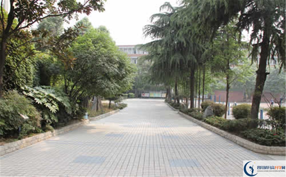 成都列五中學(xué)本部屬于哪個區(qū)？